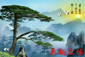卓越3D畫-迎客松